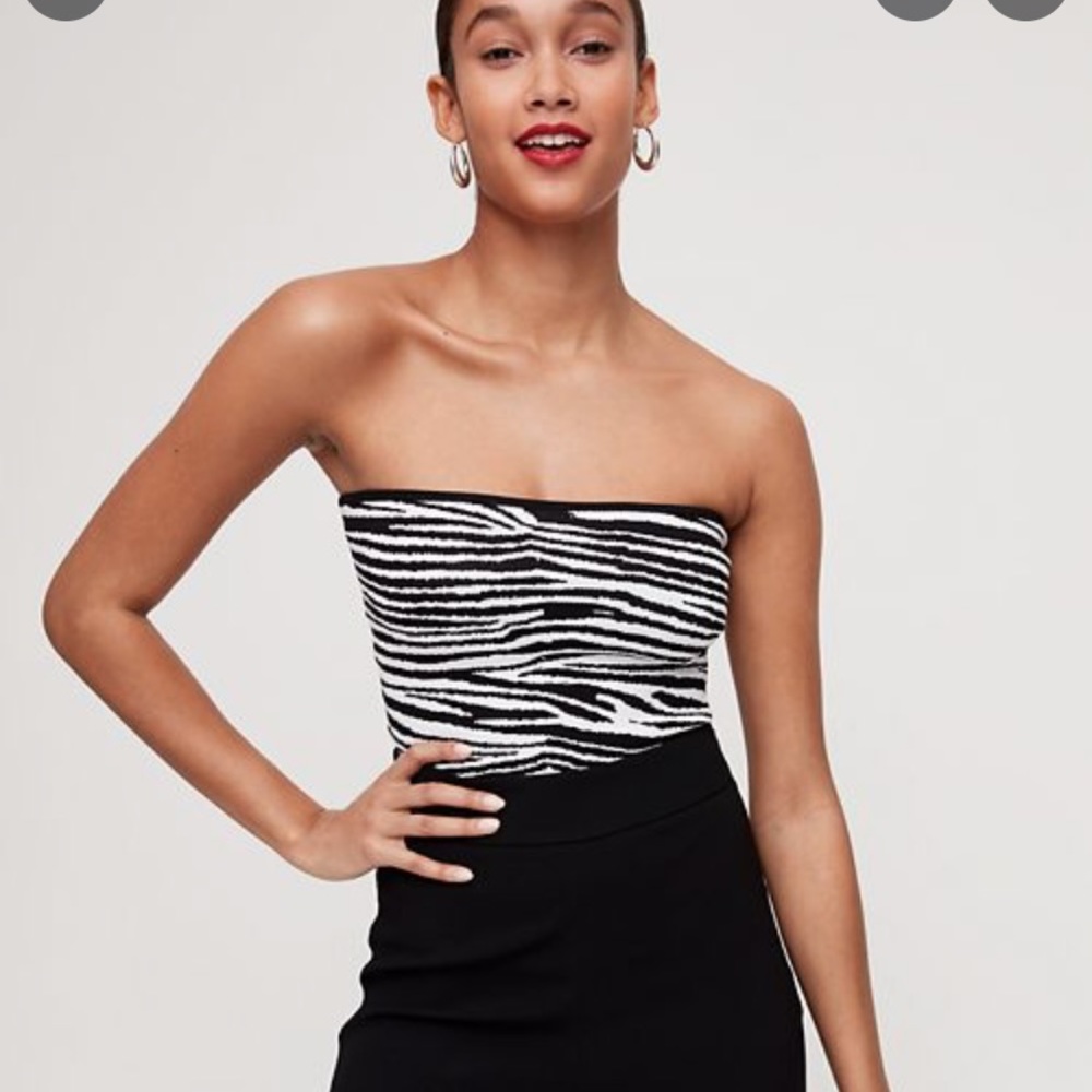 Aritzia Babaton tube top